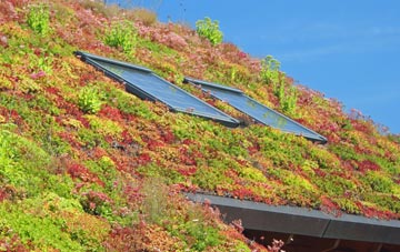 Caythorpe living roof systems